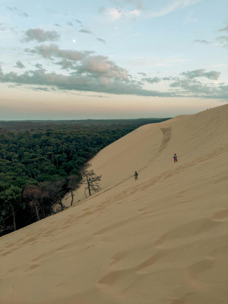 pexels-jesse-gerritsen-237271295-17867792 De indrukwekkende Dune du Pilat, de grootste zandduin van Europa, met uitzicht op het bos en de Atlantische Oceaan.
