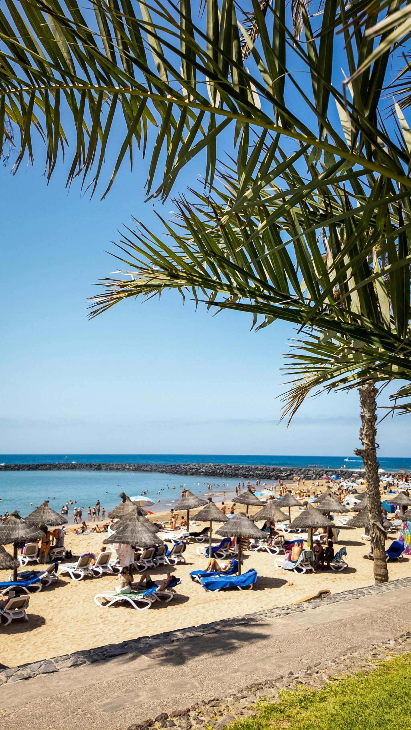 mensen aan het zonnen op het goudgele strand aan de kust van costa adeje tenerife