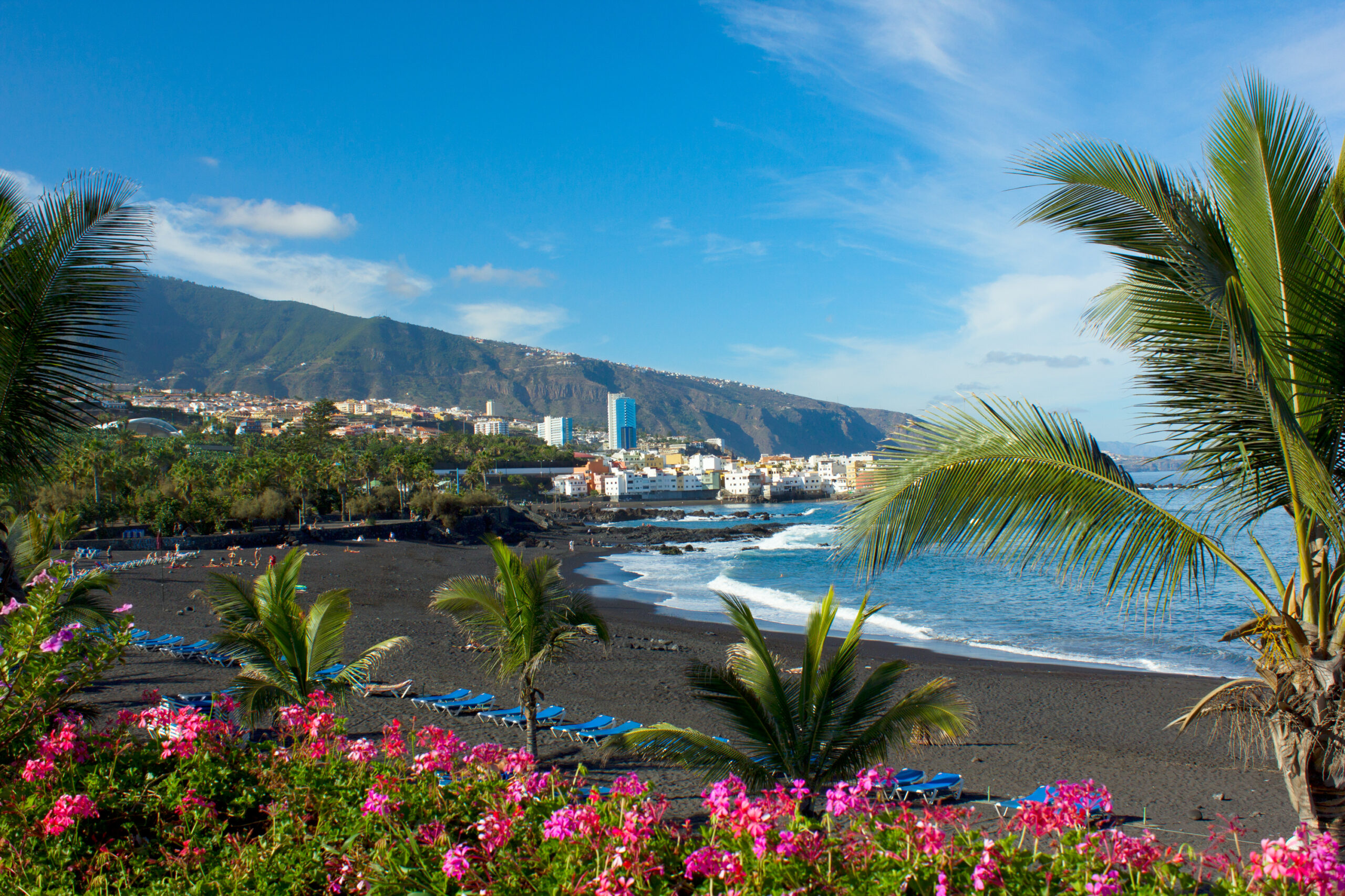 puerto de la cruz grijs lavastrand met palmbomen en ligbedden