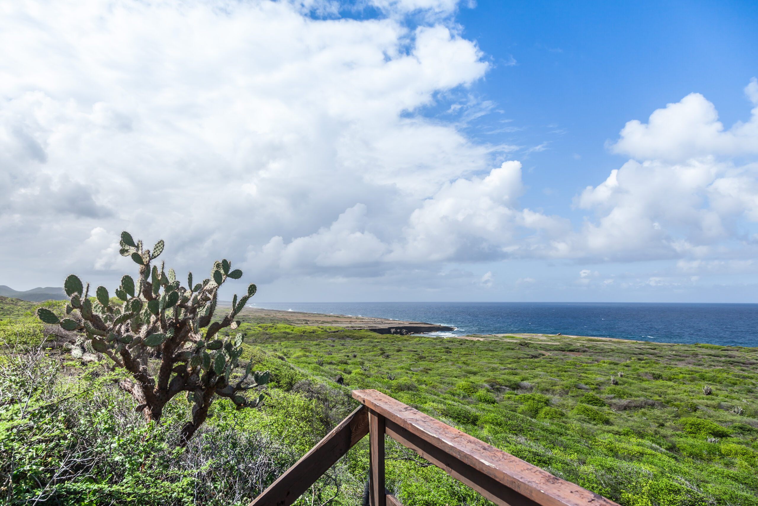 uitzicht foto over het christoffelpark te Curaçao