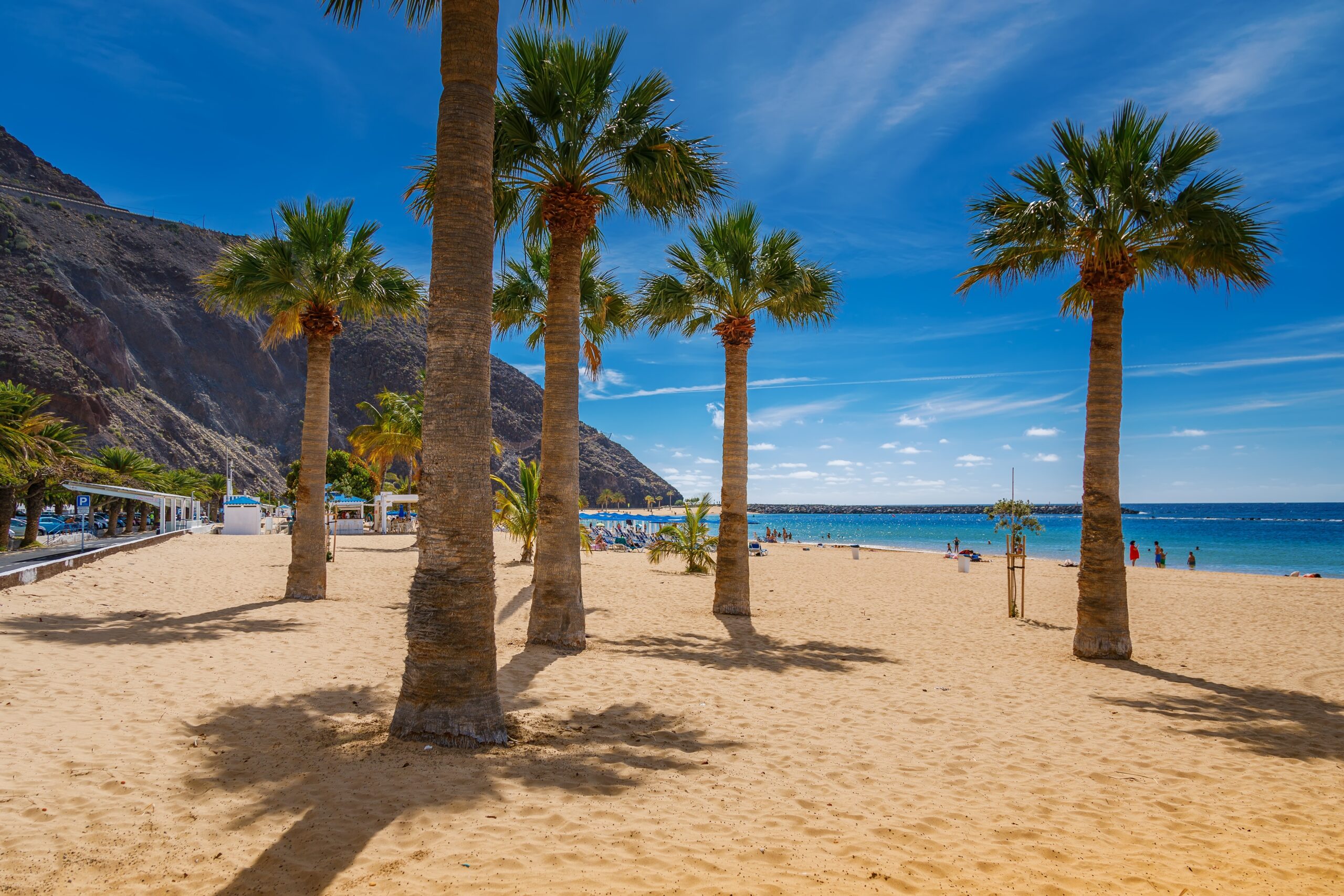 Playa des las Teresitas strand met mooie grote palmbomen in tenerife